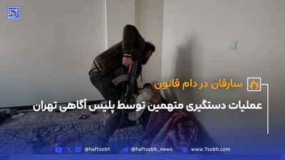 بازگرداندن کلاهبردار ۸۶۰ هزار دلاری به کشور؛ پایان فرار یک متهم بین‌المللی