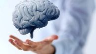 آیا مغز شما به توجه نیاز دارد؟
