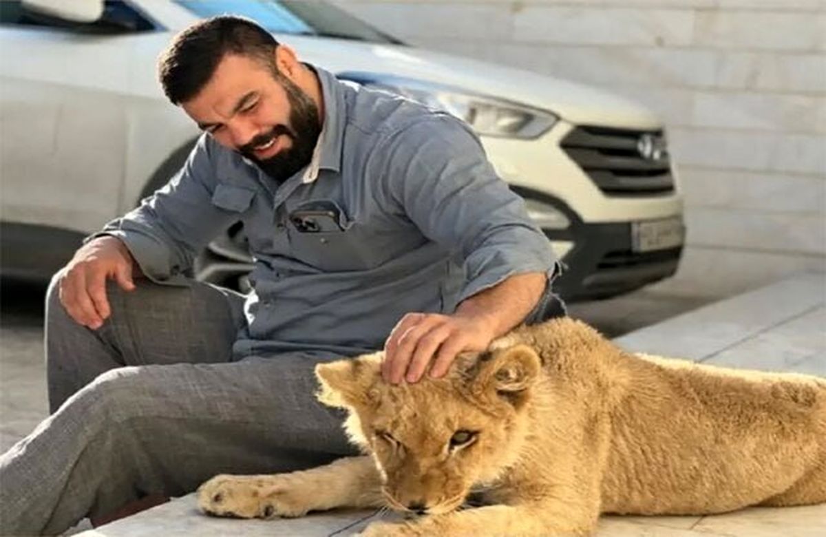 پرونده تخلف امیر علیاکبری در نگهداری توله شیر سنگینتر شد