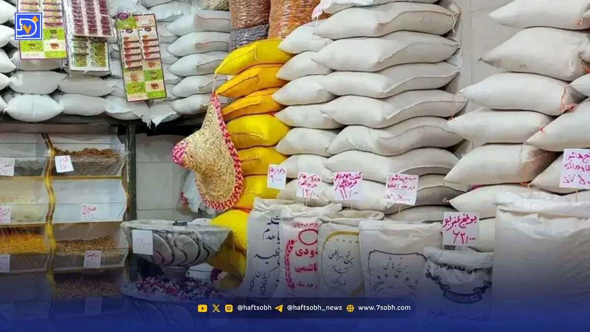 هر دستگاه ساز خودش را می‌زند | تبعات نبود نهاد هماهنگ