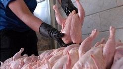 قیمت جدید مرغ در ایام محرم اعلام شد/ جزییات