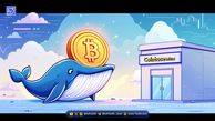 حرکت نهنگ بیت‌کوین پیش از تصمیم سرنوشت‌ساز فدرال رزرو
