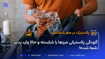 پلاستیک‌های خانگی، عامل مرگ قلبی؛ ظروف پلاستیکی را در ماشین ظرفشویی و ماکروویو نگذارید