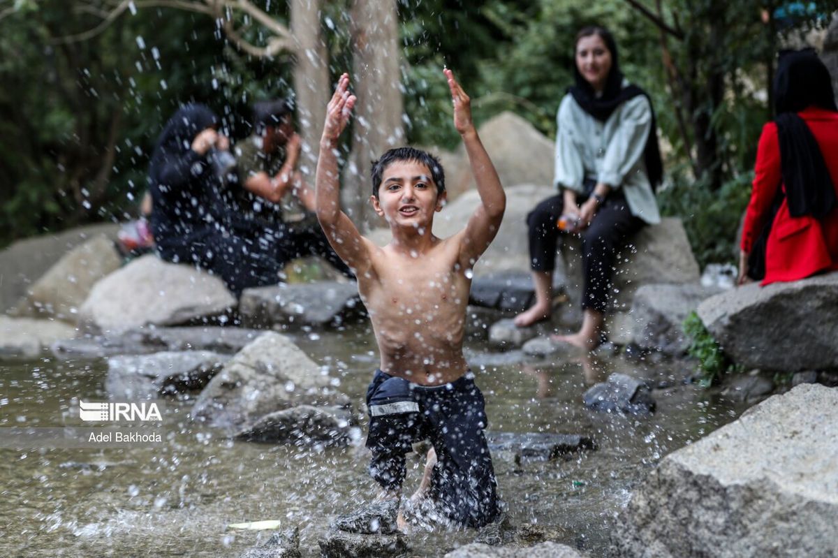 جهان در جعبه کفش