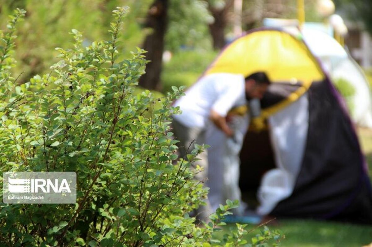سهم ناچیز کم درآمدها از سفر