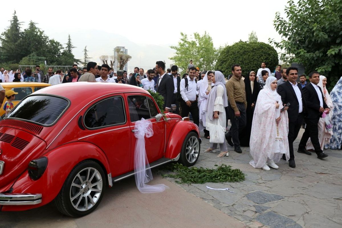 جشن عروسی روی پل طبیعت + تصاویر