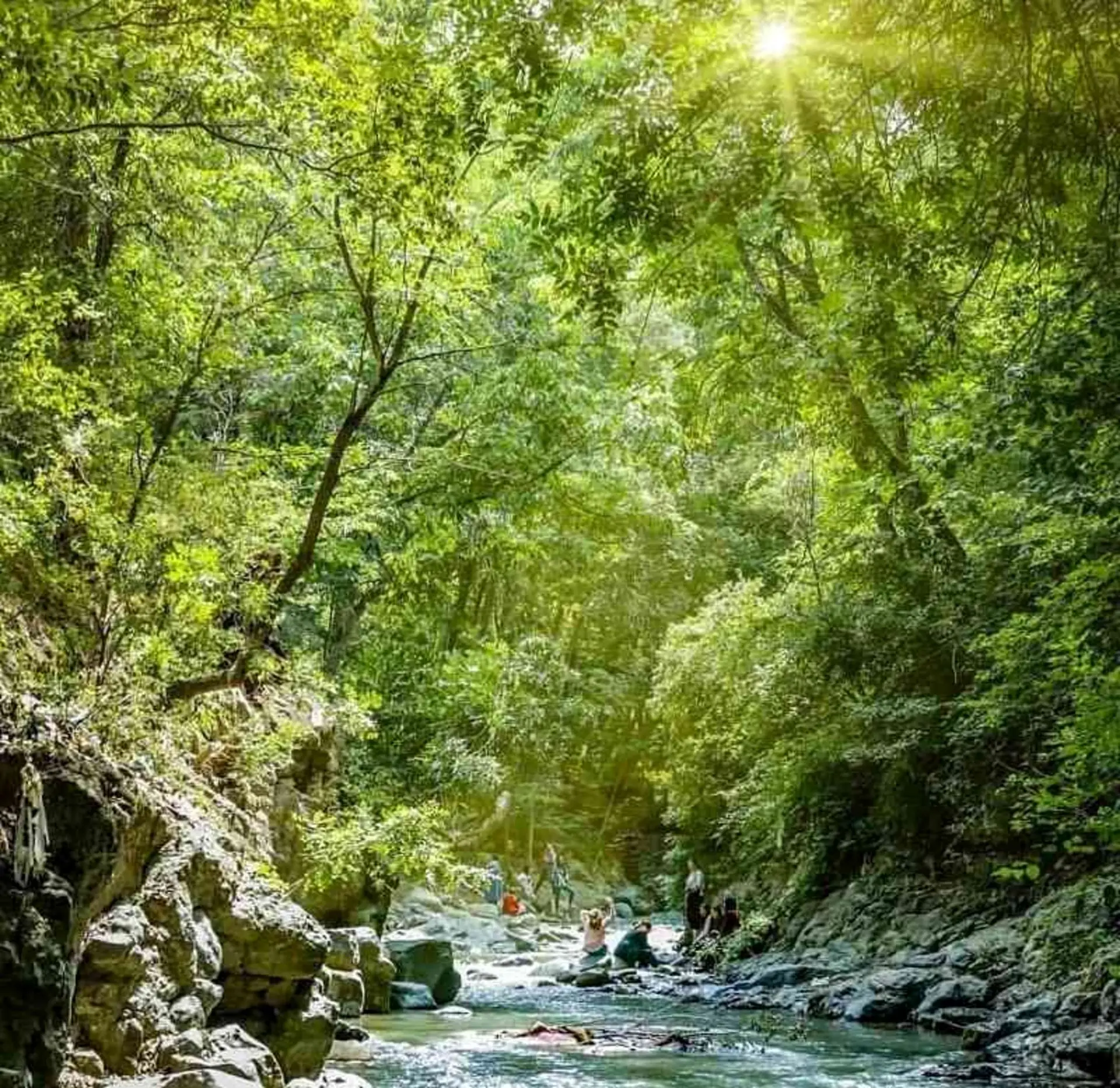 طبیعت کردان؛ منبع عکس: گوگل‌مپ؛ عکاس: Ali kashani zadeh