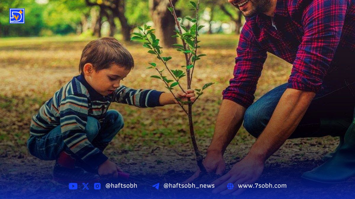 بذر امید در دل خاک