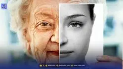 با خوردن این مغز، پیری را از خودتان دور کنید!