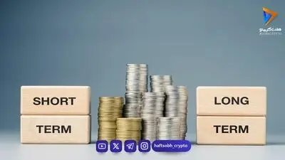 آموزش سایه بازی با دست برای کودکان؛ سایه خرگوش، گوزن، گربه و سگ