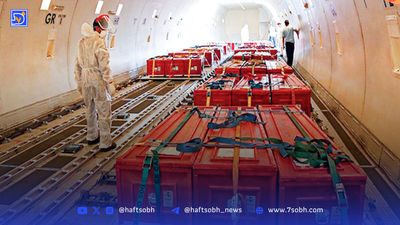بیوگرافی پاشا رستمی همسر ستاره پسیانی، از مهاجرت به کانادا تا ازدواج