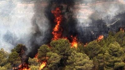 آتش‌سوزی پارک ملی گلستان مهار شد