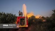 تصاویر | زیستگاه گوزن ایرانی در آتش سوخت