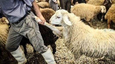 فرارسیدن دهم ذی‌الحجه، روز عید قربان، عید سرسپردگی و بندگی بر همگان مبارک باد