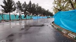 گنج باشکوه کشف شده در قطعه 252 بهشت زهرا چه شد؟