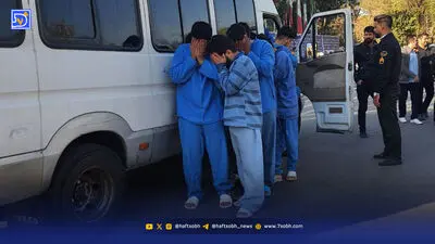 همه‌ چیز از سگ همسایه شروع شد