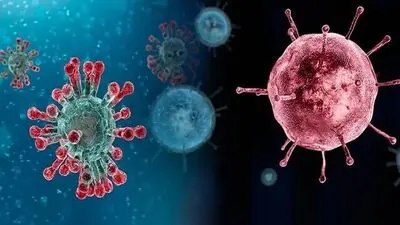 شیوع آنفلوآنزا با آغاز فصل سرما / هنوز با سوش جدید بیماری مواجه نیستیم