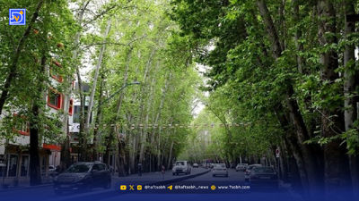 سفر در زمان| چهره «محمدعلی فردین» بعد انقلاب و در 50 سالگی؛ سال 59 