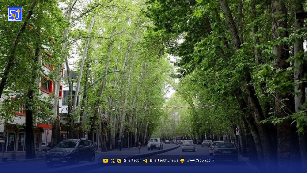 سفر در زمان | خیابان ولیعصر تهران در یک روز برفی؛ دهه 40