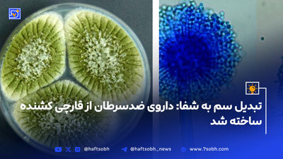 
اقدامات اورژانسی در مواقع گرمازدگی
