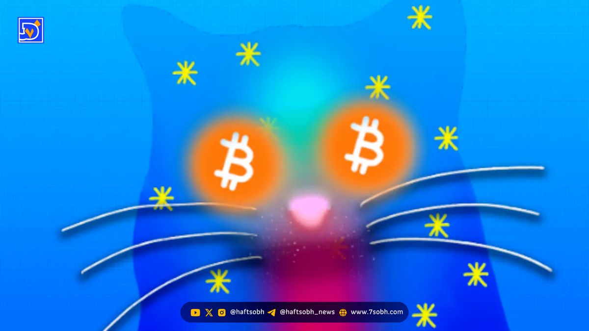 OP_CAT؛ بال‌های برنامه‌پذیری بیت‌کوین برای پرواز در دنیای دیفای