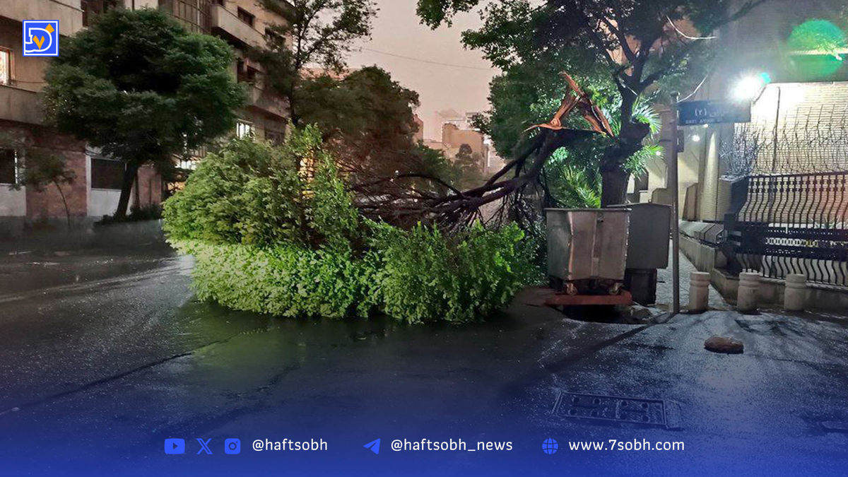 وزش باد ۱۲۰ روزه و طوفان در شرق