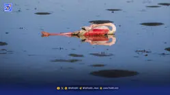 سموم در کمین پرندگان مهاجر ایران