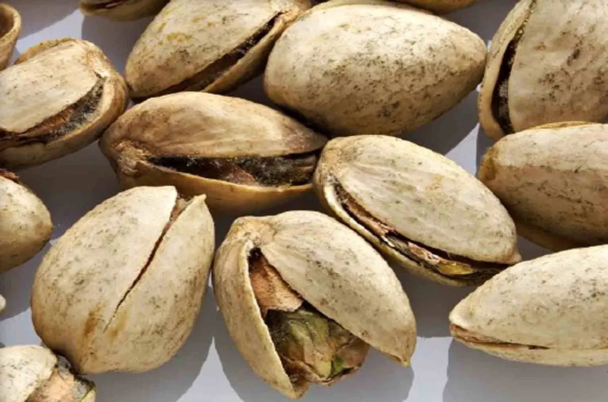 کانادا برای پسته ایران حرف و حدیث ساخت!