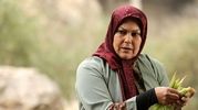 بیوگرافی کامل مهرانه مهین ترابی؛ مروری بر زندگی و کارنامه این بانوی هنرمند