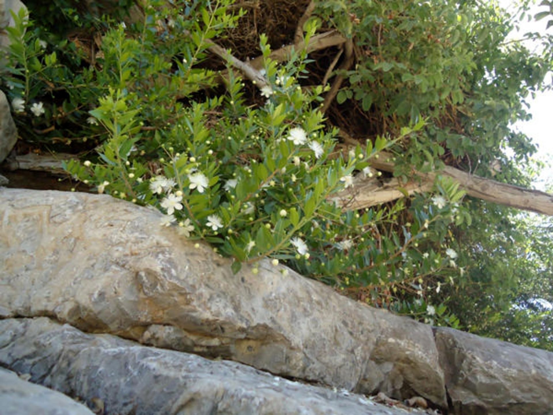 روستای گردشگری مارین