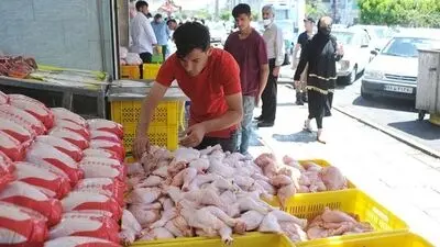 تورم خوراکی ها 3 رقمی شد / روغن و تخم مرغ در صدر فهرست