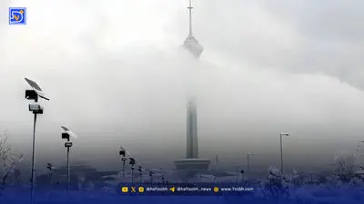 شب‌های تهران ‌پول می‌سازد