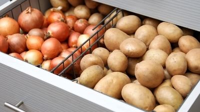  کشف بیش از ۲ هزار تن سیب‌زمینی احتکار شده 