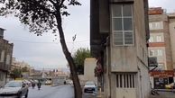 کم‌عرض‌ترین خانه جهان در تهران است!