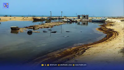خشکیدگی خاموش در جنگل‌های تهران