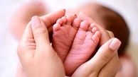 باورهای نادرست درباره ناباروری؛ آنچه زوج‌ها باید بدانند (ویدیو)