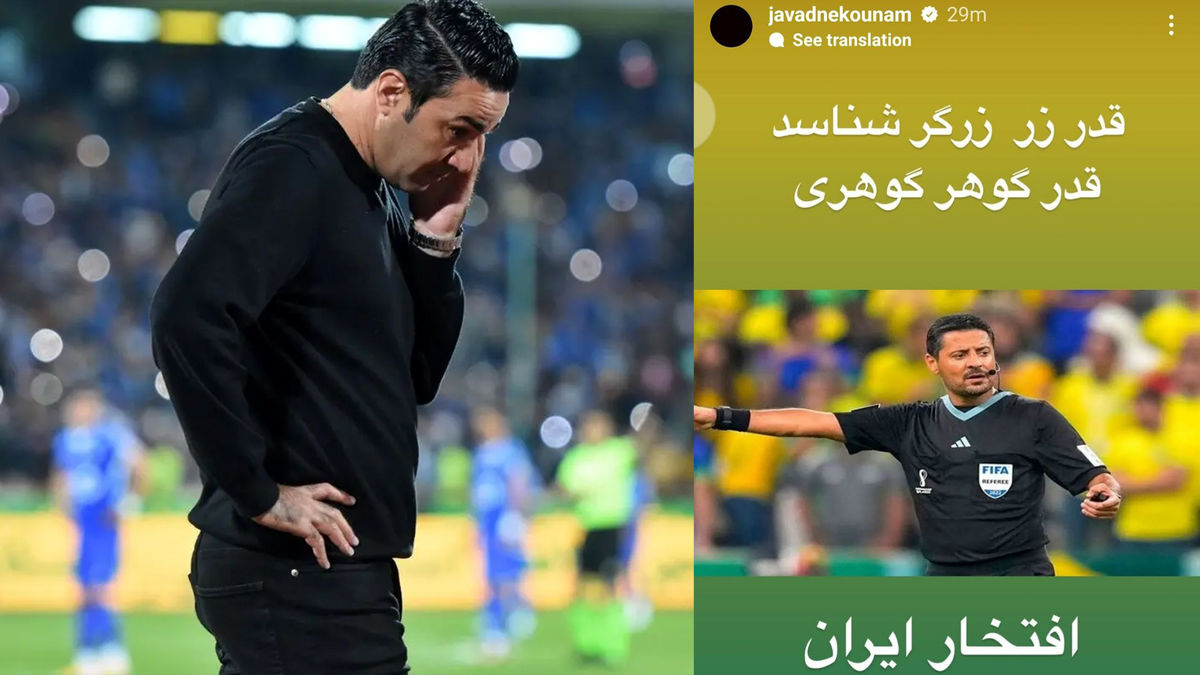 استوری نکونام برای فغانی: قدر زر، زرگر شناسد!