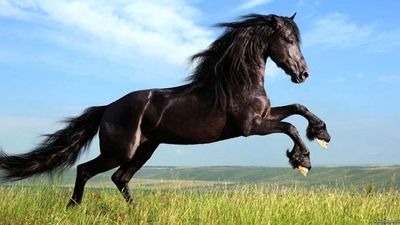 قوی‌ترین خودروی بنزینی تاریخ با ۲۰۳۱ اسب‌بخار قدرت