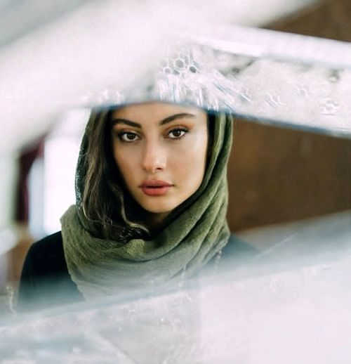 مسیر رشد ترلان پروانه در قاب تصویر