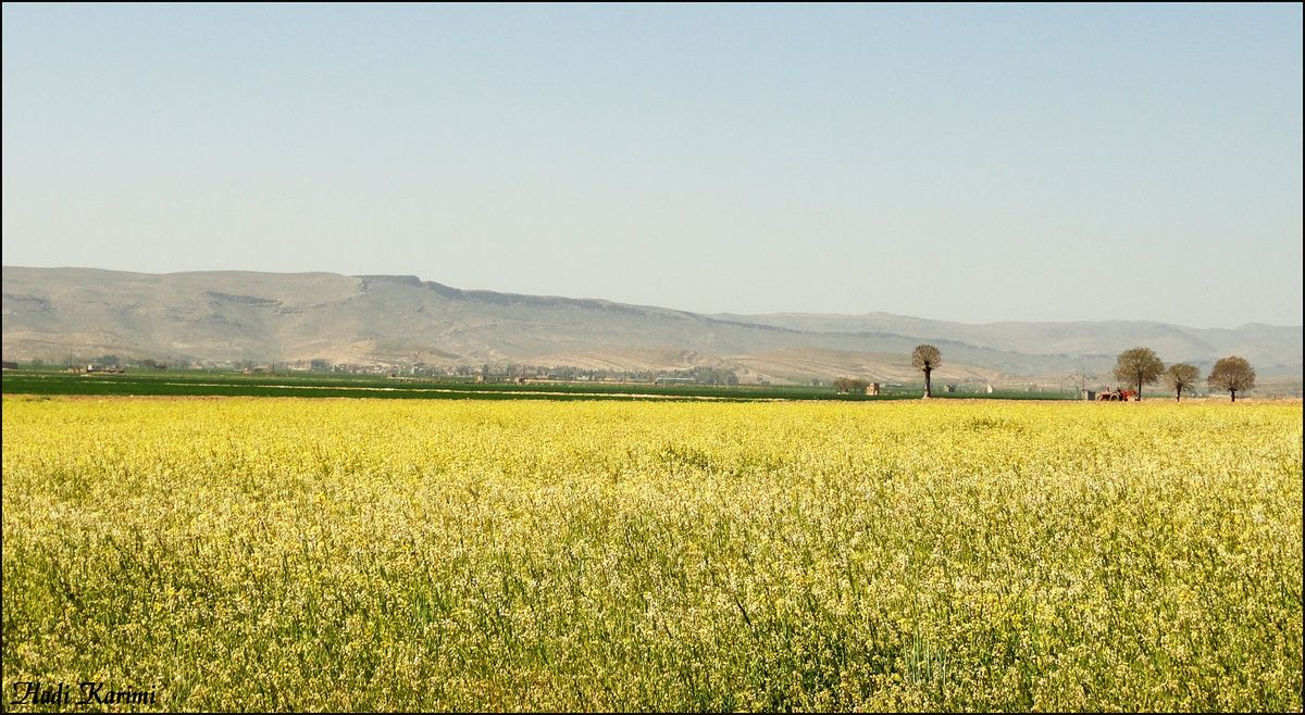 زلزله ۴.۴ ریشتری در داریان شیراز