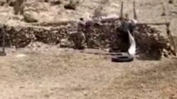 ویدئو | لحظه آزادسازی گروگان توسط پلیس در شهرستان داراب