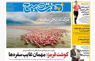 روزنامه هفت صبح ‌‌‌‌‌‌‌‌سه‌شنبه 24 تیر 1404