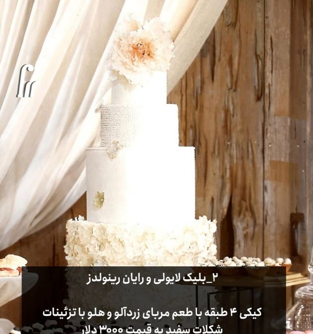 بلک لایولی