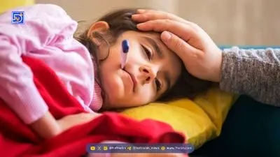 پاکسازی کبد و کلیه با خوردن این میوه های پاییزی پرخاصیت