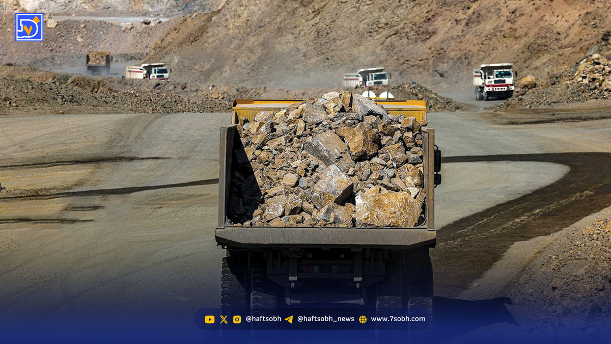 طبیعت زیر چرخ قانون