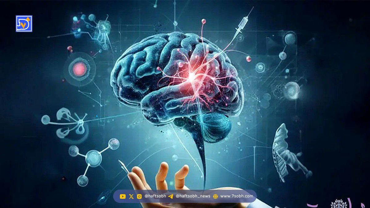 سلامت مغزتان را از طریق بشقابتان تضمین کنید