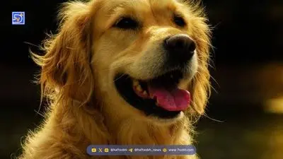 ۷ کشف پیشگامانه ناسا در سال ۲۰۲۵