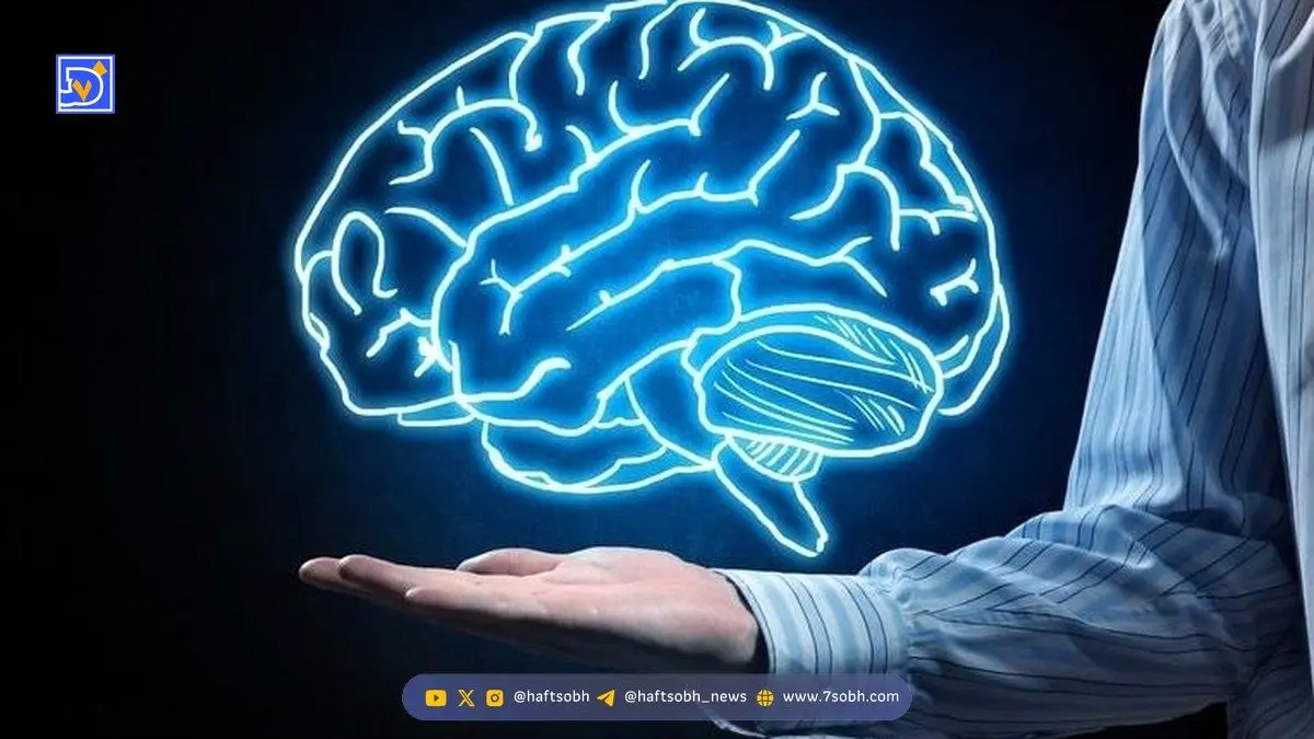 ۵ علامت مرگبار پیری زودرس مغز که هیچ‌کس به آنها توجه نمی‌کند