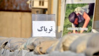 
عامل ایجاد رعب و وحشت در فضای مجازی دستگیر شد

