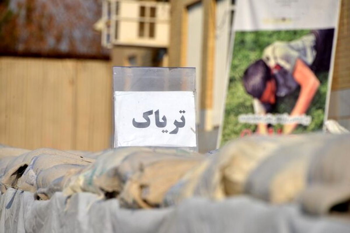 کشف ۱۱ کیلو تریاک آماده توزیع از یک قاچاقچی در جنوب تهران